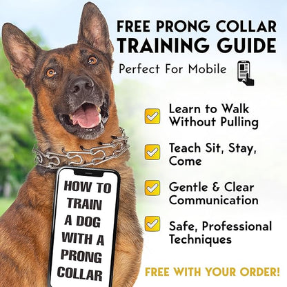 PetJett Prong Collar for Dogs Training Collar Adjustable Choke Collar Quick Release Pinch Collar for Small Medium Large Dogs No Pull Dog Collars Walking Tool - Stainless Steel Metal Choker Chain