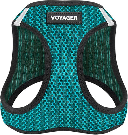 Best Pet Supplies Voyager Step-in Air Harness - All Weather Mesh, Reflective, No Pull Harness for Dogs, Cats - Secure with Hook & Loop Fastener, Buckle, Double D-Rings - Turqupise 2-Tone, M
