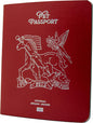 Color Premium PU Leather stitch-sewn US Pet Passport Medical Record for Pet Health and Vaccination English + Spanish for Cat, Dog, Puppy and Kitten (Christmas Red, Single)