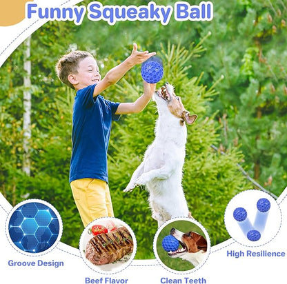 Tough Squeaky Dog Balls Puppy Toys, Interactive Dog Toys for Small Dogs, Puppy Chew Toys for Teething and Relax, Dogs Chew Toy Small Balls Dog Toys for Small Breed, Outdoor Dog Toy for Dogs