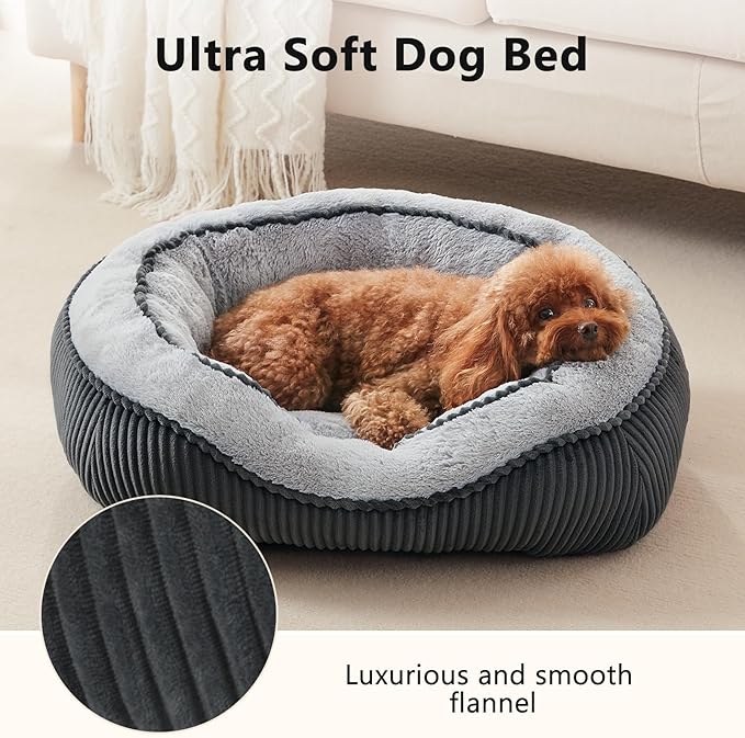 SIWA MARY Small Dog Beds for Small Dogs Washable, Rectangle Dog Bed Medium Size Dog, Orthopedic Dog Bed, Soft Calming Sleeping Puppy Bed, Durable Pet Sofa Bed with Anti-Slip Bottom, S(20"x19"x6")