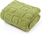 Bedsure Dog Blanket for Large Dogs Washable - Fluffy Fuzzy Puppy Cat Blanket with Premium 300GSM Coral Fleece Soft for Pet Kitten Doggy, Green, 40x50IN