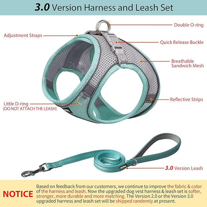 AIITLE Dog Harness, No-Pull Cat Harness with a Leash, Adjustable Reflective Dog Vest, Cat Harness Escape Proof, Outdoor Walking, Running,Training for Extra Small Dogs and House Cats Turquoise XXXS