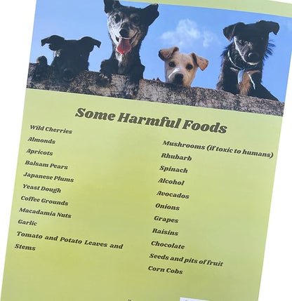 Groomers Margins Puppy Information Folders (10 Pack) - New Puppy Essentials and Dog Health Supplies for Breeders, Veterinarians, and Shelters - A Dog Owner Must Have