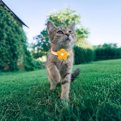 Cat Collar, HYQHYX Breakaway Kitten Collar with Flower,Rhinestone Kitty Collar with Bell, Floral Pet Collar with Safety Buckle for Cats and Puppy Dog