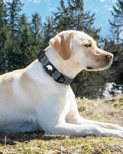 Joytale Airtag Dog Collar, Reflective Pet Collar with Waterproof AirTag Holder, Dual D-Rings, Soft Padded Adjustable for Medium Dogs, Gray, M