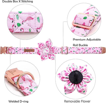 Lionheart Glory Valentine's Day Collar with Flower, Pink with Bowtie Spring Collar for X-Small Dogs