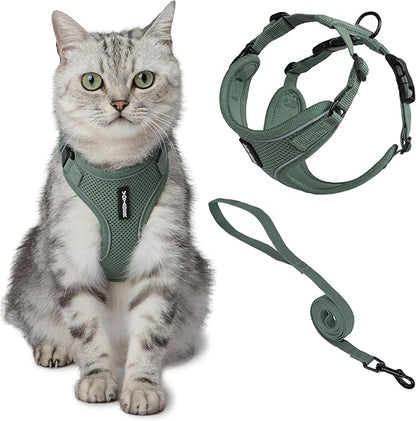 Voyager Escape-Proof Step-in Lock Cat Harness & 5ft Neoprene-Handle Leash Set All-Weather Mesh with Reflective Stitching for Small to Large Cats by Best Pet Supplies, Moss Green (327), M