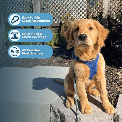 Best Pet Supplies Voyager Step-in Air All Weather Mesh Harness and Reflective Dog 5 ft Leash Combo with Neoprene Handle, for Small, Medium and Large Breed Puppies - Set (Royal Blue), XL