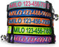 Pawtitas Personalized Orange Reflective Cat Collar – Adjustable Custom Collar with Safety Buckle, Removable Bell, and Engraved Name & Phone Number for Kittens and Adult Cats