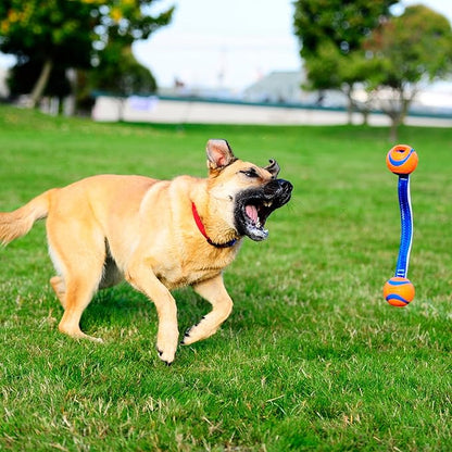 Chuckit! Ultra Duo Tug Dog Toy, Small Indoor and Outdoor Dog Ball for Dogs 0-20 Pounds