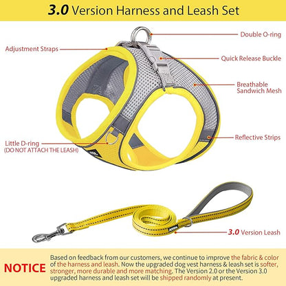 AIITLE Small Harness for Puppy with A Leash - Dog Vest Harness with Super Breathable Mesh, Reflective No-Pull Pet Harness for Outdoor Walking, Running for Small Dogs, Cats Yellow XXS