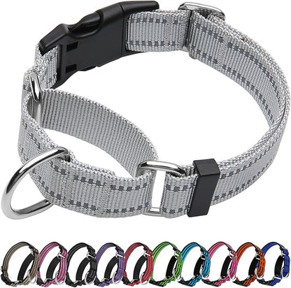 Martingale Dog Collar, Adjustable Nylon Reflective Collar with Buckle No Pull Dog Collar for Small Medium Large Dogs (Grey, M)