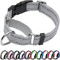 Martingale Dog Collar, Adjustable Nylon Reflective Collar with Buckle No Pull Dog Collar for Small Medium Large Dogs (Grey, M)
