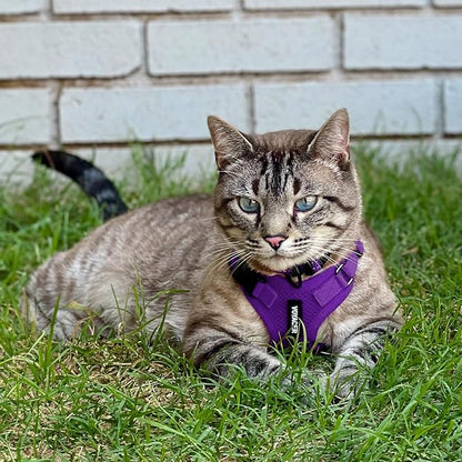 Voyager Escape-Proof Step-in Lock Cat Harness & 5ft Neoprene-Handle Leash Set All-Weather Mesh with Reflective Stitching for Small to Large Cats by Best Pet Supplies, Purple, XXS