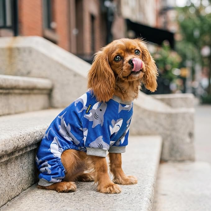Fitwarm Shark Dog Pajamas, Dog Clothes for Small Dogs Girl Boy, Pet Onesie with Feet, Cat Outfit, Lightweight Velvet, Royal Blue, XXL