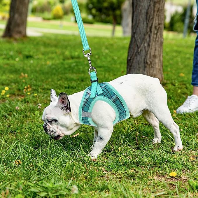 PUPTECK Adjustable Dog Harness Collar and Leash Set Step in No Pull Pet Harness for Small Medium Dogs Puppy and Cats Outdoor Walking Running, Soft Mesh Padded Reflective Vest Harnesses, Lake Green L