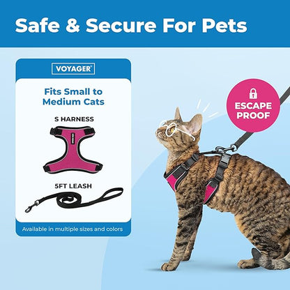 Voyager Escape-Proof Step-in Lock Cat Harness & 5ft Neoprene-Handle Leash Set All-Weather Mesh with Reflective Stitching for Small to Large Cats by Best Pet Supplies, Black Trim-Fuchsia (327), S