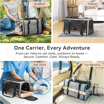 PETSFIT Large Cat Car Carrier with Patented Safety Buckles(19 x 12 x 12) – Roomy Escape-Proof for Safe Driving, Lockable Zippers & Safety Tether, Soft-Sided Travel Carrier for Road Trips & Vet Visits