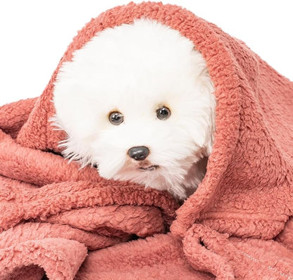 3 Blankets, Dog Cat Pet Blanket, Soft Warm Fleece, for Puppy, Small Dogs or Kitten, Cats, Plush Fuzzy Blanket for Bed, Sofa, Travel (24" x 18", 3/Pack, Lavender+Pink+Dark Pink)