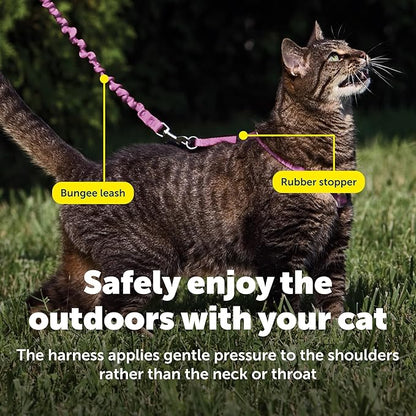 PetSafe Come With Me Kitty Cat Harness & Bungee Leash - Comfortable Cat Harness with Lightweight Bungee Leash for Outdoor Fun - More Secure Walks - Medium - Dusty Rose