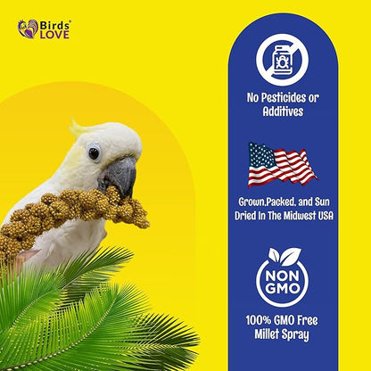 Birds LOVE Economy Special Spray Millet GMO-Free (No Stems Only Edible Tops) for Birds Cockatiel Lovebird Parakeet Finch Canary All Parrots Healthy Treat - 7oz