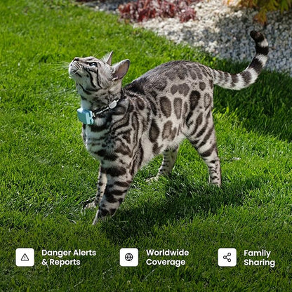 Tractive Smart Cat GPS Tracker | Real-Time Location & Wellness Monitoring for Cats 6.5 lbs+ | Territory & Location History | Up to 5-Day Battery | Breakaway Collar Included (Mint)