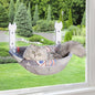Cat Window Perch, Glow in The Dark Foldable Cat Hammock with Sunken Design & Removable Soft Cover, Breathable Cordless Window Bed for Resting Indoor Kitten (Deep Perch, 1 Pack - M)