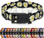 Dog Collar, Daisy Boys Girls Puppy Collar for Small Medium Large Dogs, Adjustable Soft Floral Pet Collar with Safety Buckle for Male Females(Black Daisy,M)