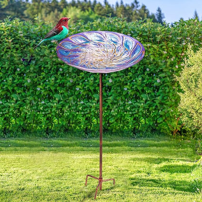 VCUTEKA Glass Bird Bath Outdoor BirdBath Garden Bird Feeder with Metal Stake