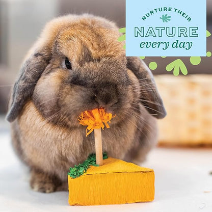 Oxbow Enriched Life Birthday Party Pack, Rabbit & Guinea Pig Toys, Enrichment Pack for Bunny, Hamster, Rabbit, Chinchilla, Rat, Chinchilla Cage Accessories, Guinea Pig Accessories for Cage