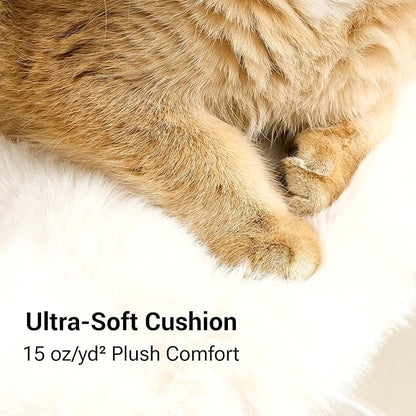 Modern Cat Tree Tower for Indoor Cats up to 12lbs, 34" H Furniture-Style Metal Cat Tower with Scratching Posts, Wood Cat Bed with Soft Plush Cushion Washable, Acrylic Capsule, Cream Beige