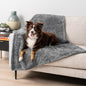 PetAmi Dog Blanket for Large Medium Dogs Grey, Fluffy Soft Puppy Blanket, Sherpa Fleece Cat Blanket for Kitten Doggie, Calming Pet Blanket Throw for Bed Washable Sofa Couch Cover, Large 40x60