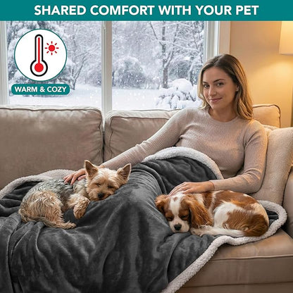 PetAmi Waterproof Dog Blanket for Medium Large Dog Puppy Cat Throw for Couch Cover Leakproof Protection, Sherpa Fleece, Reversible Soft Washable 60x40 Charcoal Gray