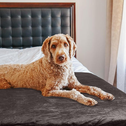 PETMAKER Dog Blanket - 60x70in Reversible Sherpa Blanket - Throw Blankets for Bed, Couch, or Car - Machine Washable Puppy Essentials (Charcoal)