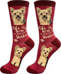 E&S Pets Pet Lover Socks - Dog & Cat Socks - Unisex Novelty Gifts