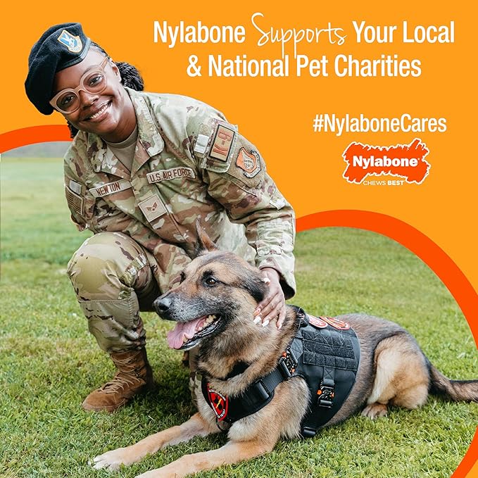 Nylabone Healthy Edibles WILD Natural Dog Chew Treats for Large Dogs, Long Lasting Dog Chew Bones Made in USA, Bison Flavor, For Dogs Up to 50 lbs. (1 Count)