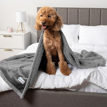 PetAmi Waterproof Dog Blanket for Medium Large XL Dog Puppy Cat Throw for Couch Cover Leakproof Protection, Sherpa Fleece, Reversible Soft Washable 80x60 Light Gray