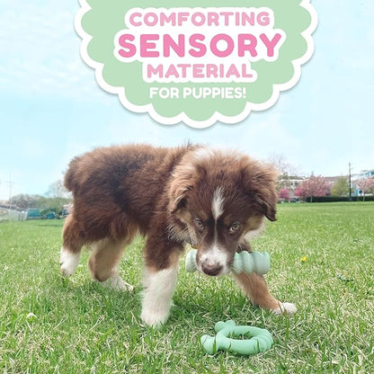 Nylabone Sensory Material Soothing Puppy Chew Toy Ring, Toys for Teething Puppies, Chicken Flavor, Small - Up to 25 lbs, 1 Count