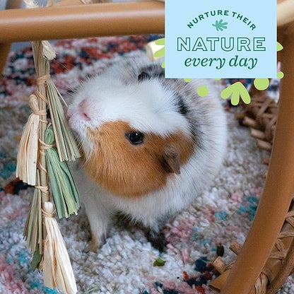 Oxbow Enriched Life Natural Dangly Party Pack, Rabbit Toys, Guinea Pig Toys, Enrichment for Bunny, Guinea Pig, Hamster Stuff, Rabbit Enrichment, Chinchilla, Rat, Chinchilla Cage Accessories