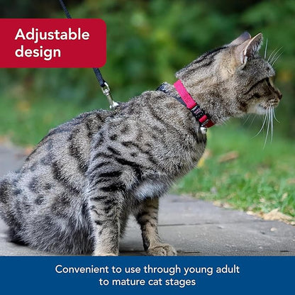 Coastal Pet New Earth Soy Adjustable Breakaway Cat Collar - Eco-Friendly, Odor-Resistant and Adjustable Cat Collar, Cranberry, 3/8" x 08"-12"