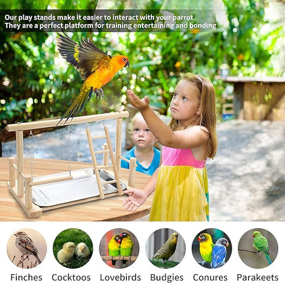 Natural Wood Bird Playground Parrot Perch Playstand Play Gym Stand Playpen Perches Ladder Swing Platform with Toys Exercise Playgym for Luonfels,Budgie,Cockatiels,Conures,Parakeets,Lovebird