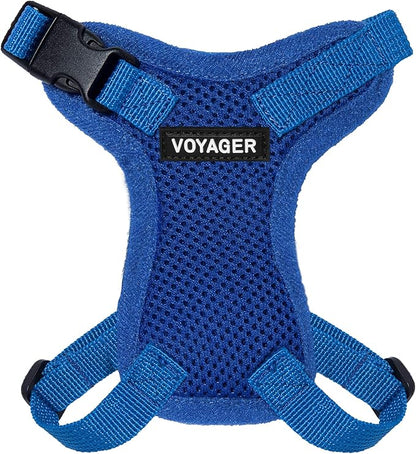 Voyager Step-in Lock Adjustable Cat Harness w. Cat Leash Combo Set with Neoprene Handle 5ft - Supports Small, Medium and Large Breed Cats by Best Pet Supplies - Royal Blue, XXXS