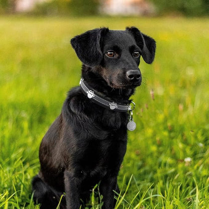 PETCARE Reflective Dog Collar with Cute Paw Rivet Studded Funny Soft PU Leather Adjustable Puppy Dog Collars for Small Medium Large Dogs Cats (Black,X-Large)