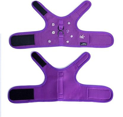Cat Harness and Leash for Walking Escape Proof Breathable Mesh Fabric, Purple, Large, Adjustable Cat Walking Jackets with DIY Beads, Padded Stylish Cat Vest