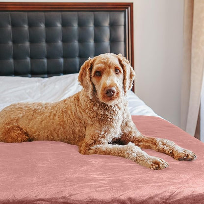 PETMAKER Dog Blanket - 60x80in Reversible Sherpa Blanket - Throw Blankets for Bed, Couch, Crate, or Car - Machine Washable Puppy Essentials (Pink)
