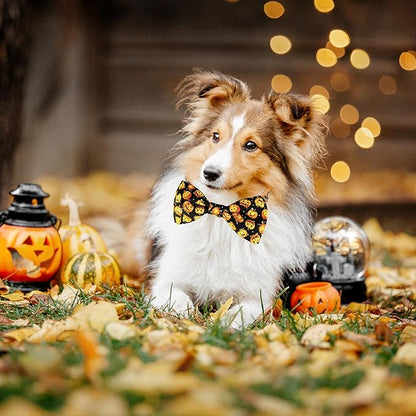 Halloween Dog Bow Tie Collar, Holiday Skull Pumpkin Collar for Large Medium Small Dog Pets Puppies