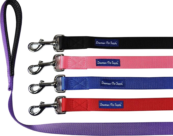 Downtown Pet Supply 6ft Heavy-Duty Dog Leash - Padded Comfort Handle & Stainless Steel Fastener - 0.75in Wide - Black