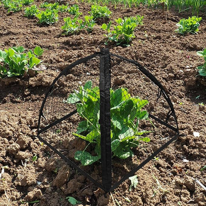 Strawberry Plant Protector,22 x22 x 22 Inch Cloche Dome for Plants,Plant Protection Tent For Plant Cages to Keep Animals Out,Mesh Plant Cover for Plant Protectors from Animals,Chicken Wire Cloche 1PC