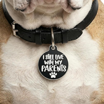 Bad Tags Personalized Dog and Cat ID Tags in 25+ Designs and 2 Sizes - 5 Lines of Custom Engraved Text - Funny Cute Personalized Pet Tags (I Still Live with My Parents, Small (1 inch))